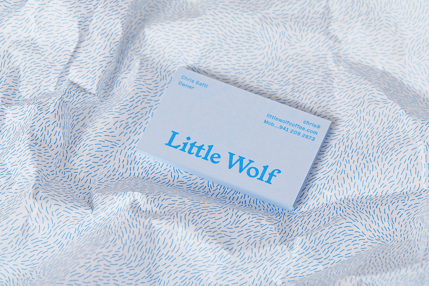 Little Wolf Coffee品牌设计